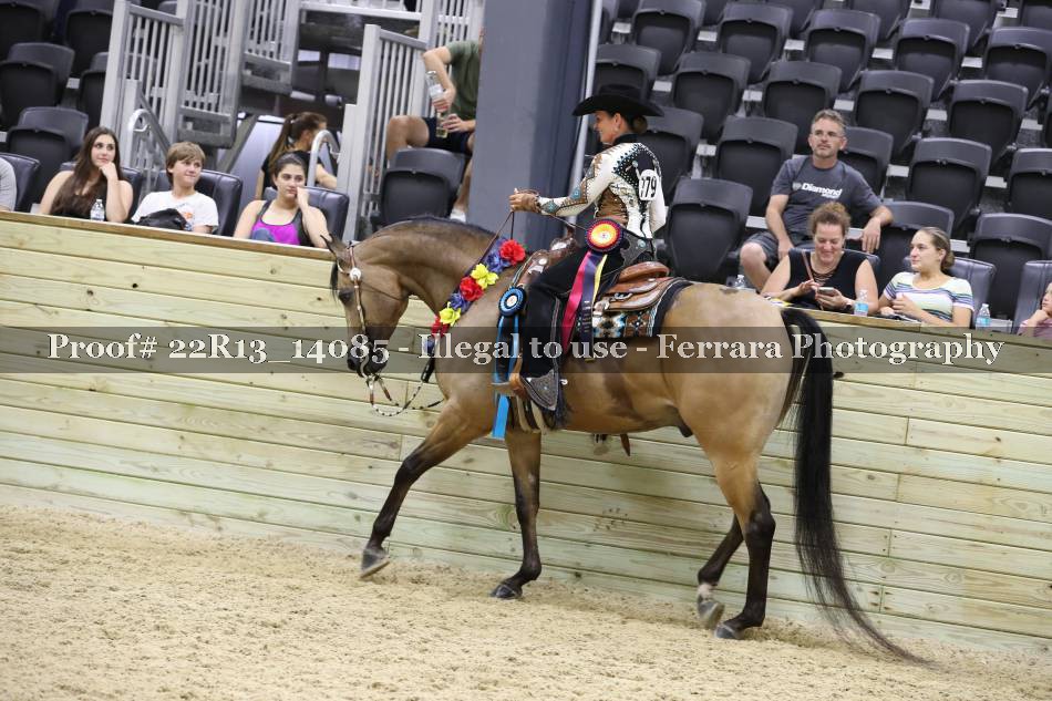 Proof 22R13_14085