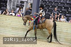 22R13_14085 proof