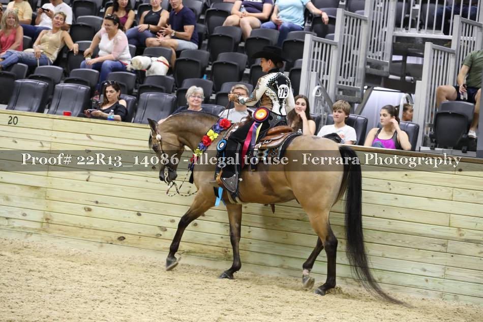 Proof 22R13_14086