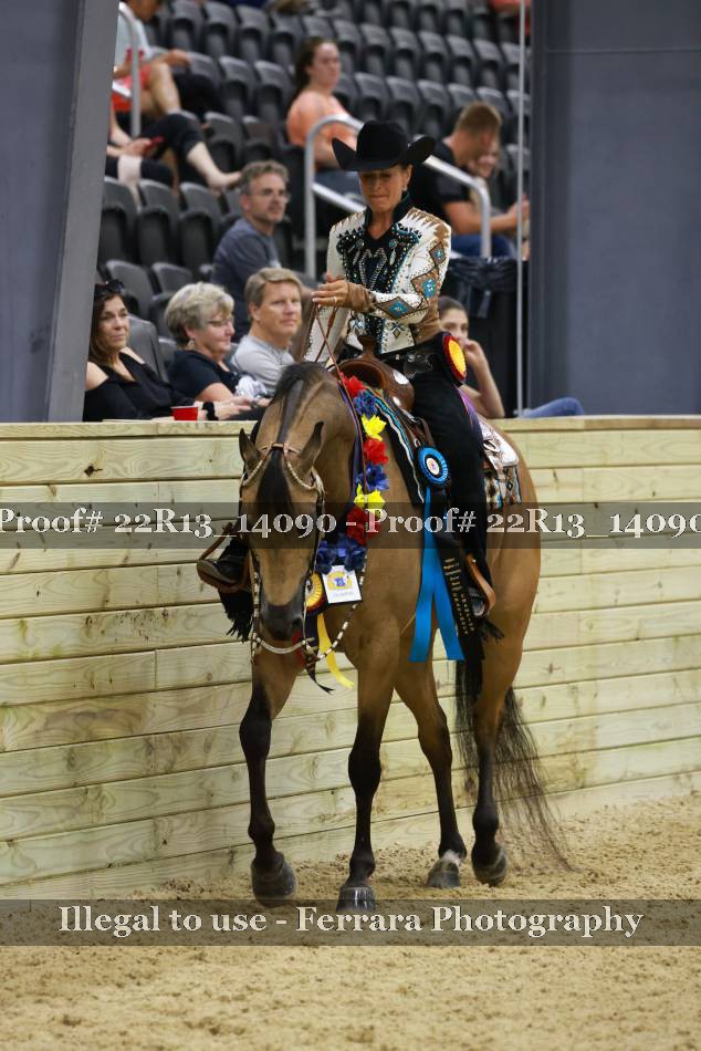 Proof 22R13_14090