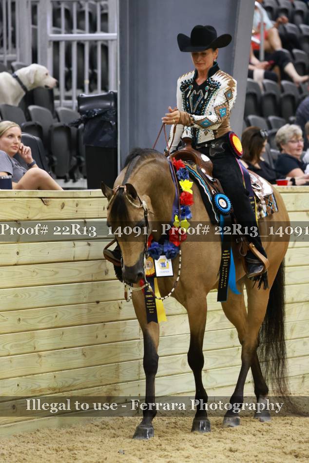 Proof 22R13_14091