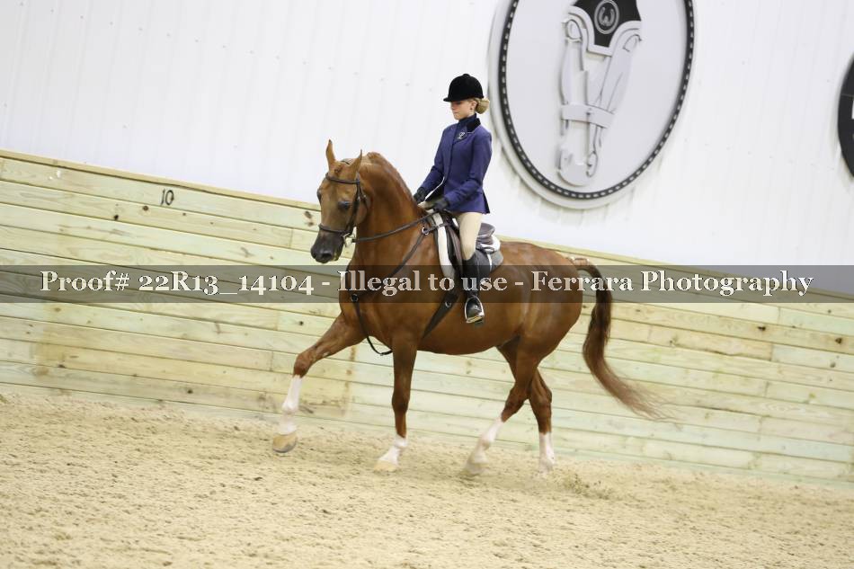 Proof 22R13_14104