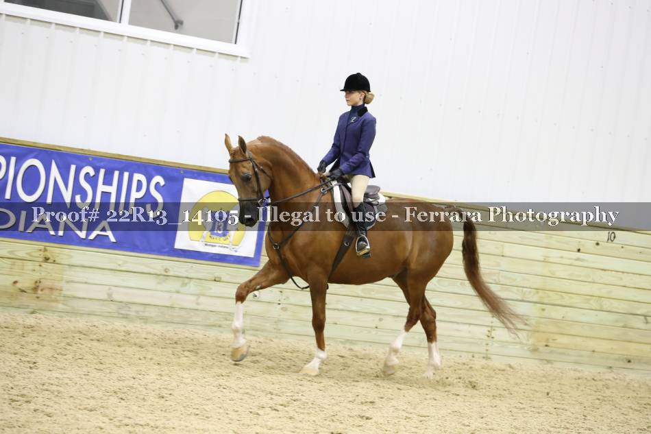 Proof 22R13_14105