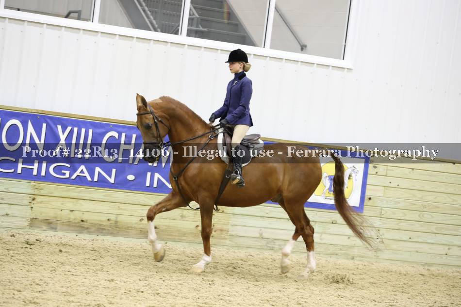 Proof 22R13_14106