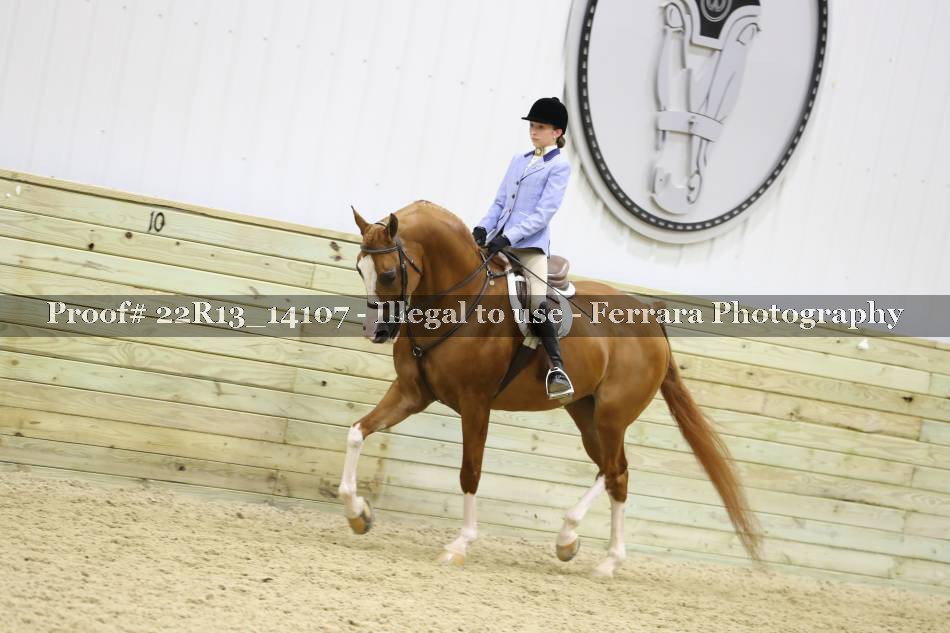 Proof 22R13_14107