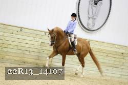 22R13_14107 proof