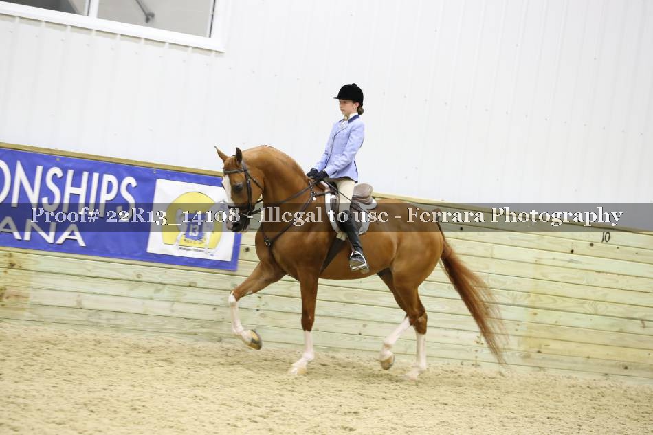Proof 22R13_14108