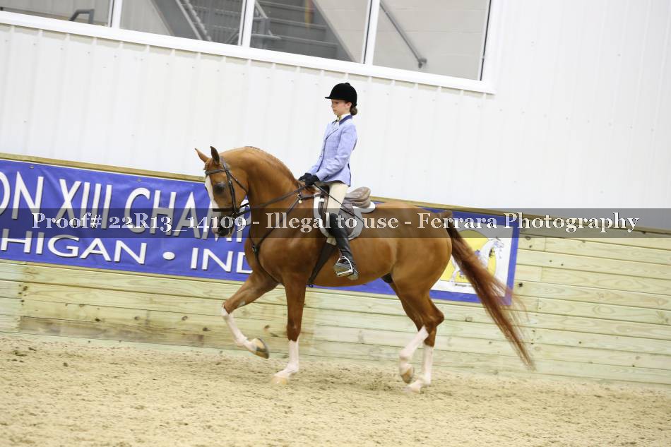 Proof 22R13_14109