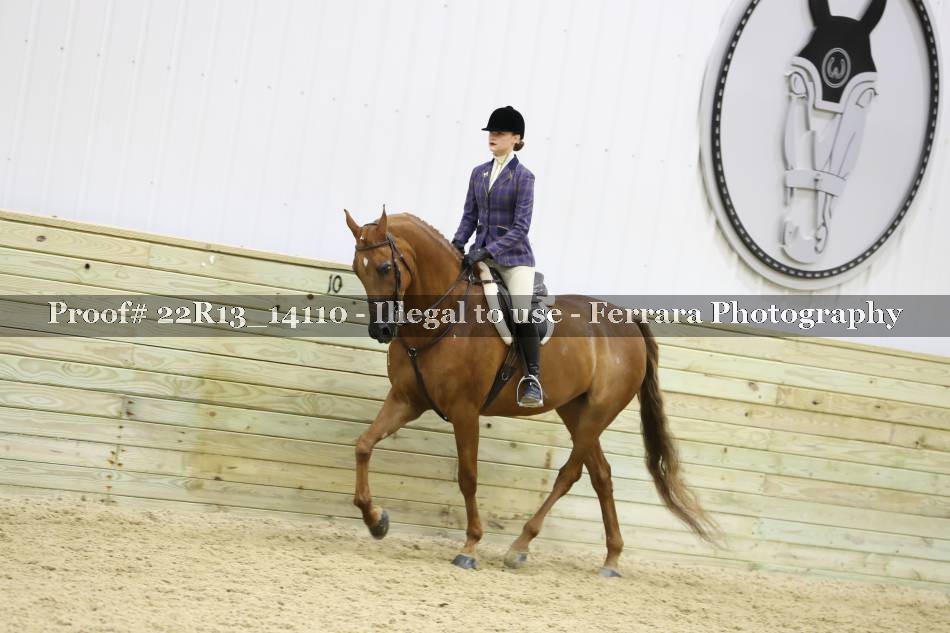Proof 22R13_14110
