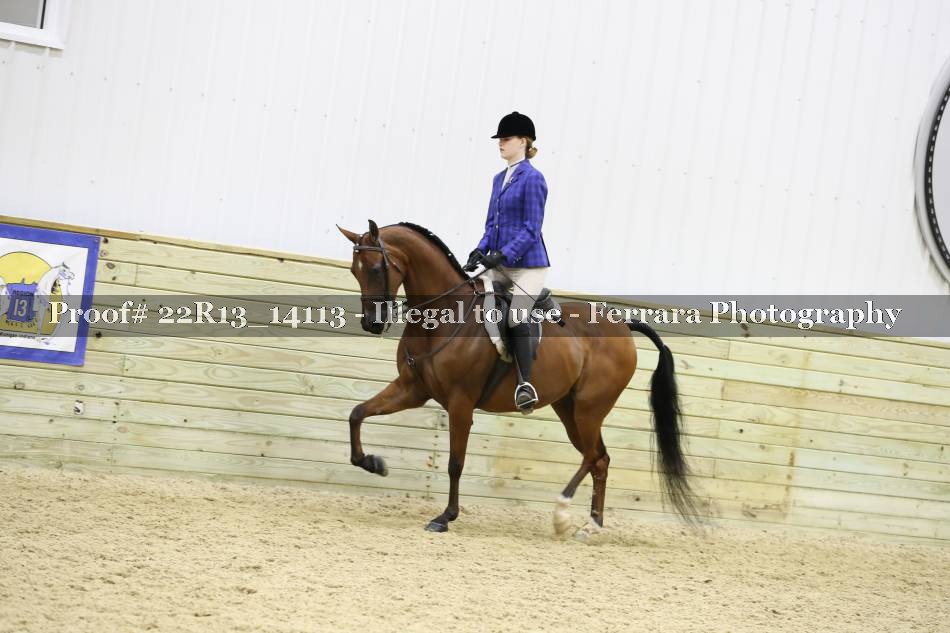 Proof 22R13_14113