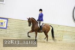 22R13_14113 proof