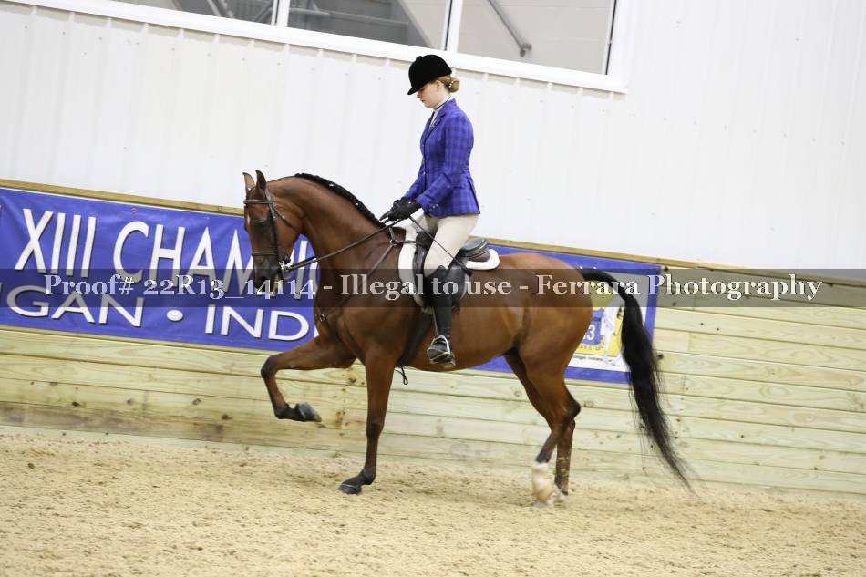 Proof 22R13_14114