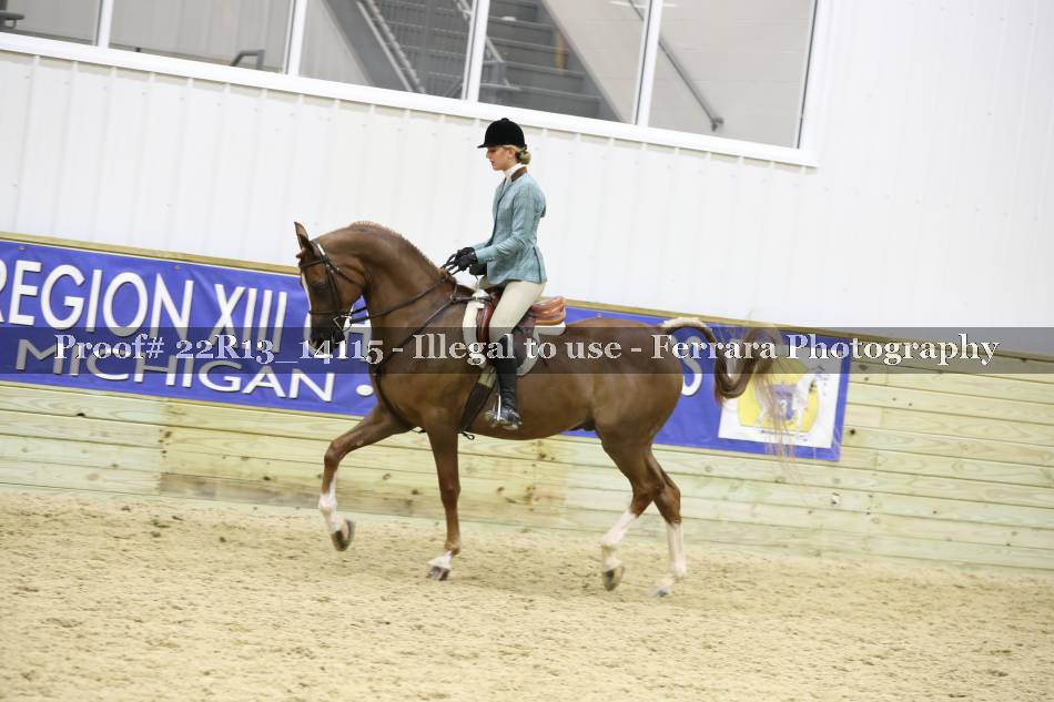 Proof 22R13_14115