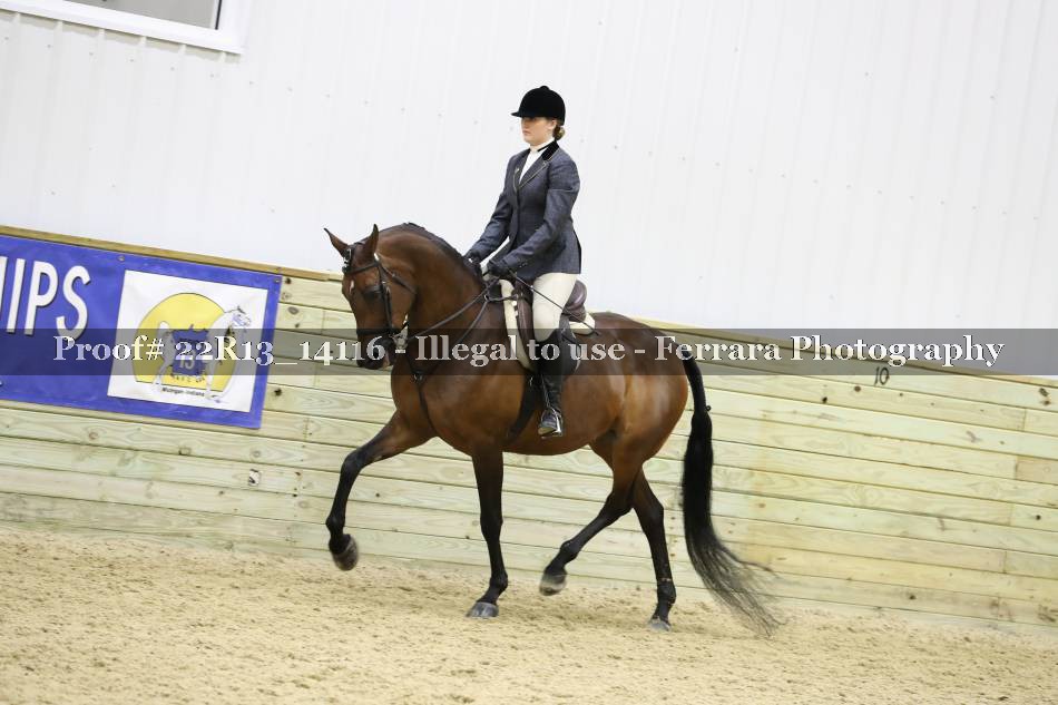 Proof 22R13_14116
