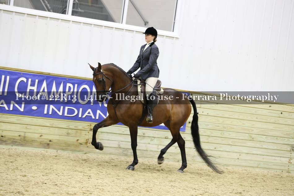 Proof 22R13_14117