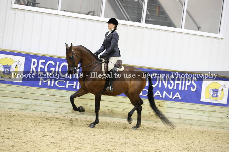 Proof 22R13_14118