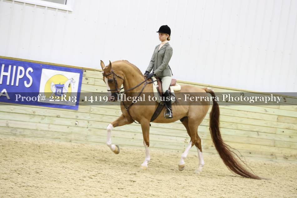 Proof 22R13_14119