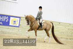 22R13_14119 proof