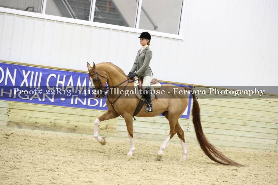 Proof 22R13_14120