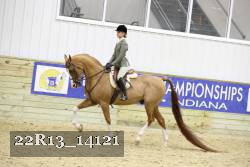 22R13_14121 proof