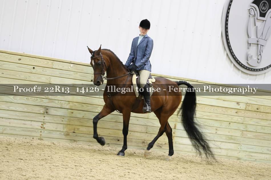 Proof 22R13_14126