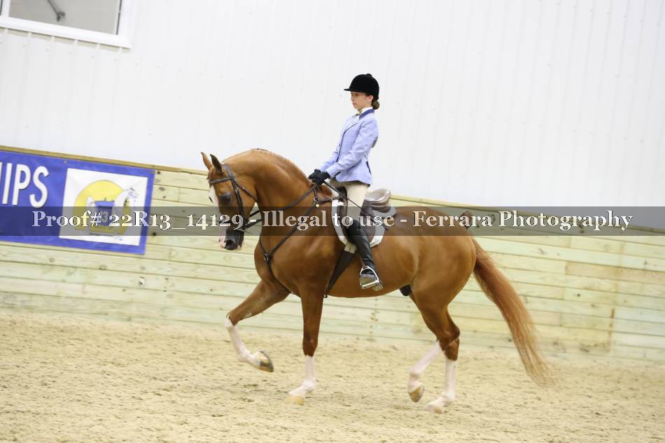 Proof 22R13_14129