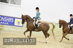 22R13_14131 proof