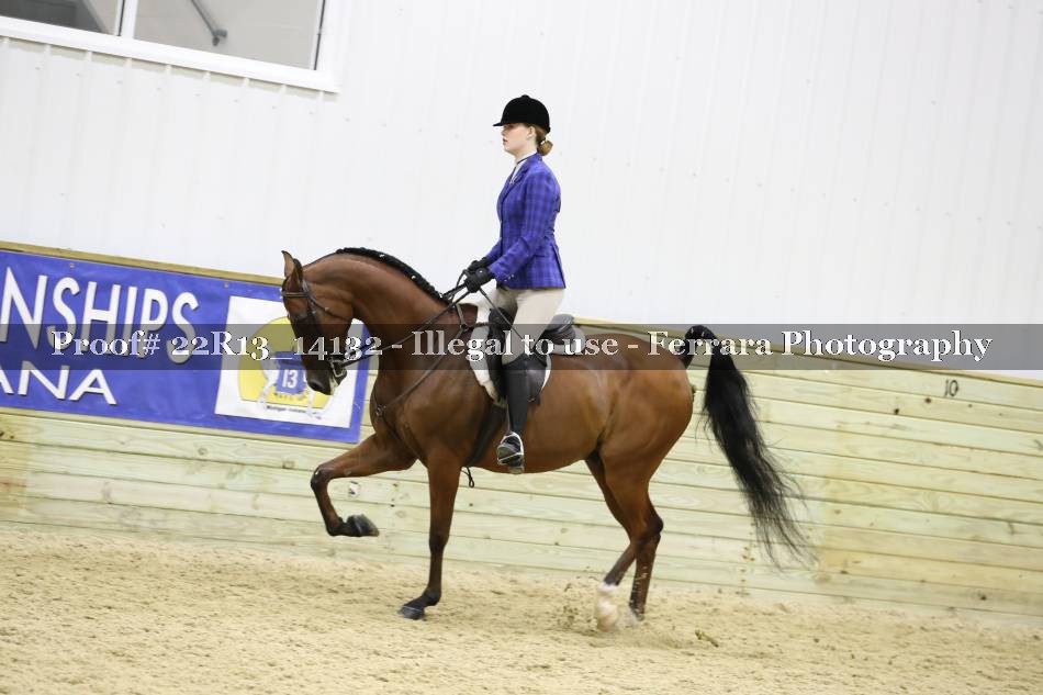 Proof 22R13_14132