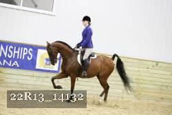 22R13_14132 proof