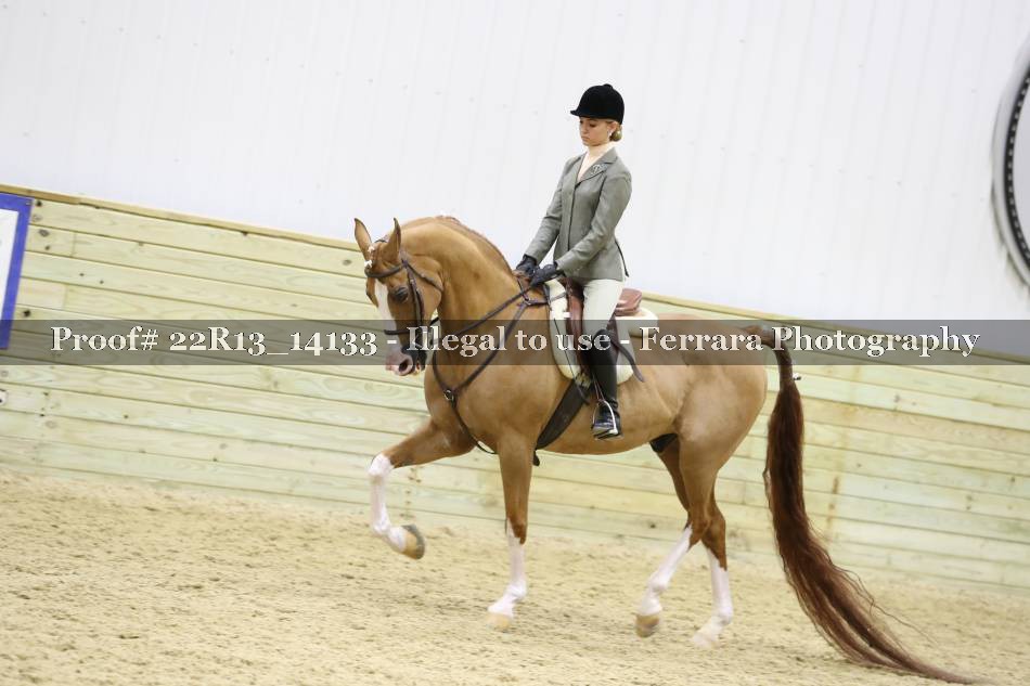 Proof 22R13_14133