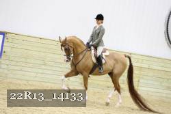 22R13_14133 proof