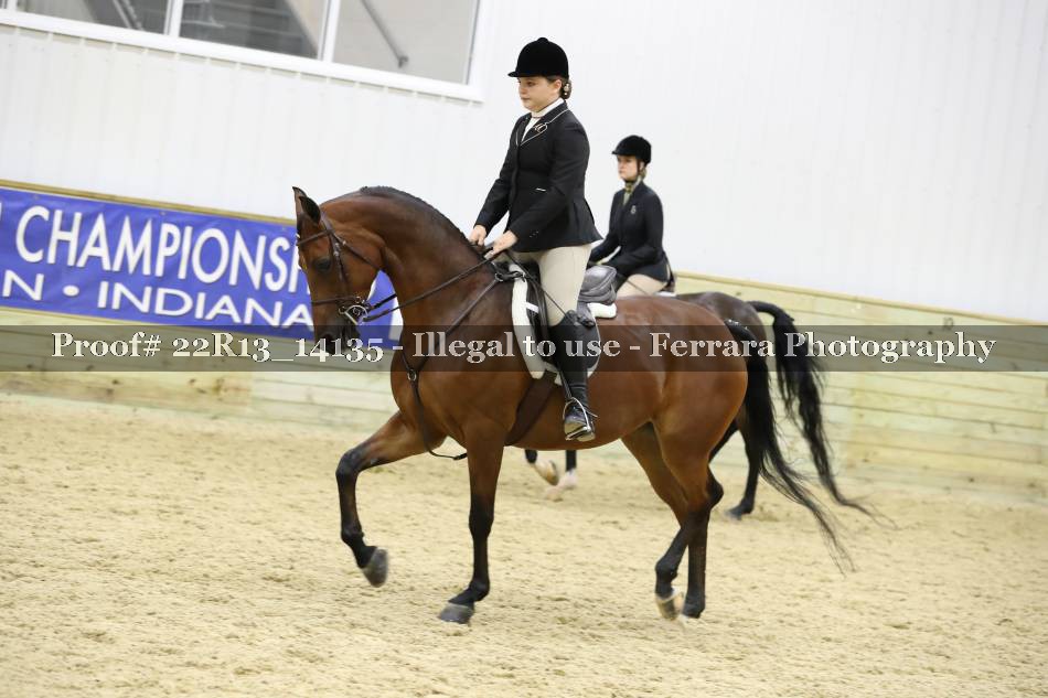 Proof 22R13_14135