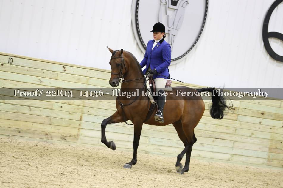 Proof 22R13_14136