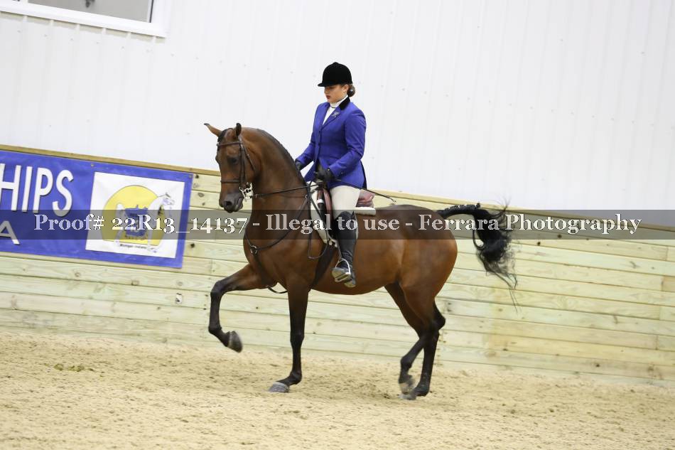 Proof 22R13_14137