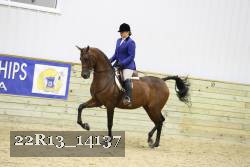 22R13_14137 proof