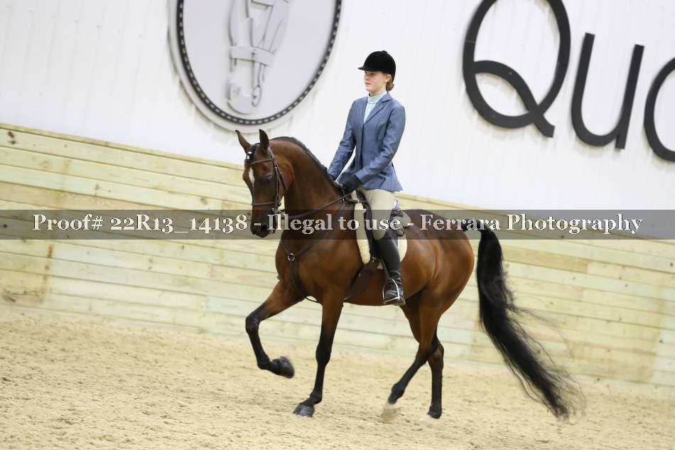 Proof 22R13_14138
