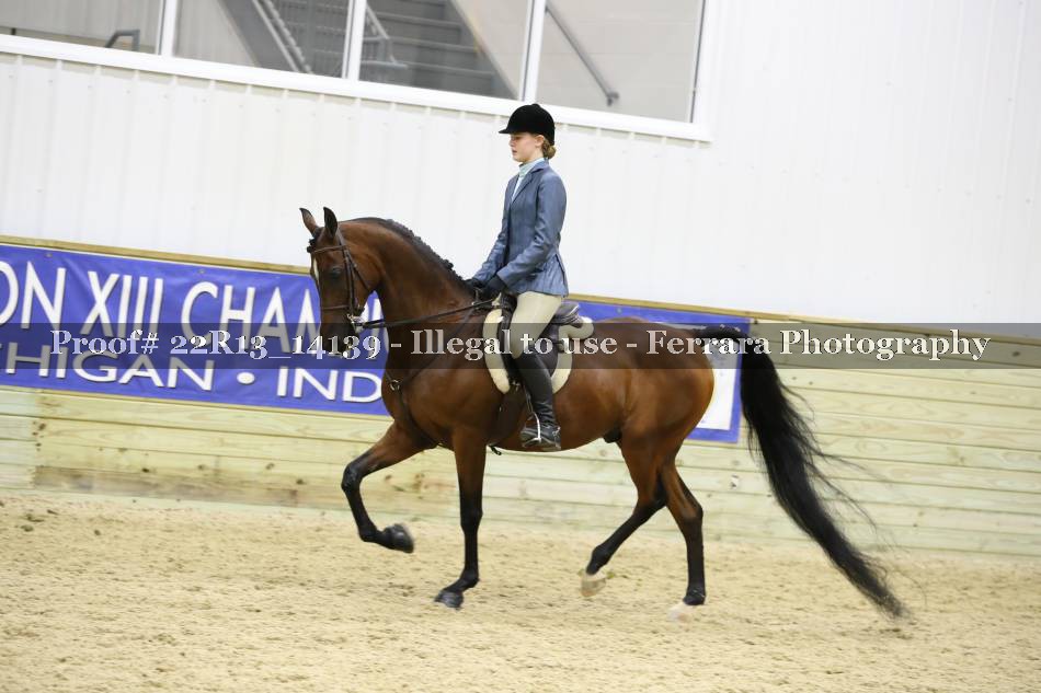 Proof 22R13_14139