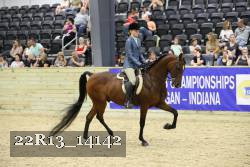 22R13_14142 proof