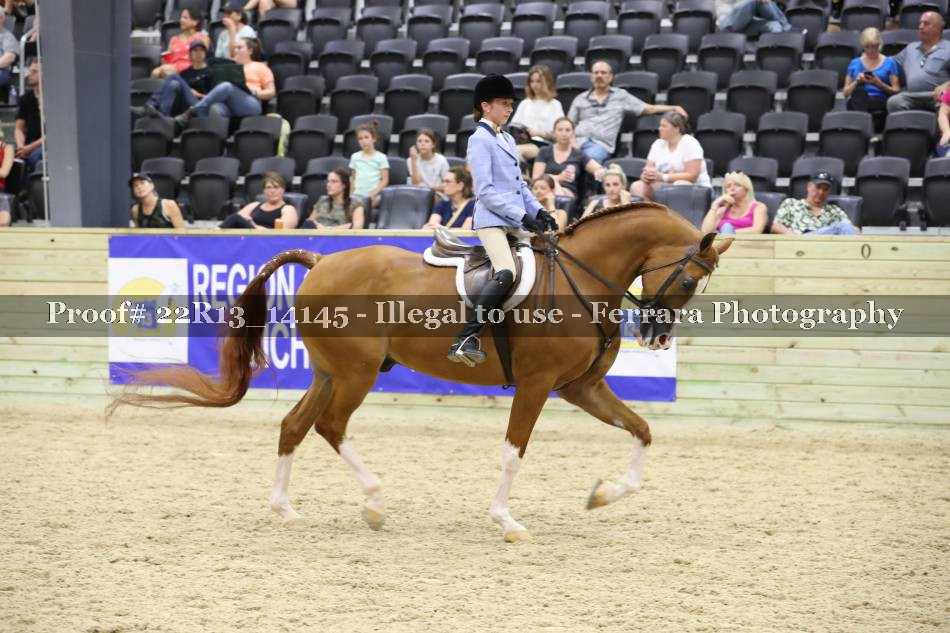 Proof 22R13_14145