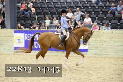 22R13_14145 proof