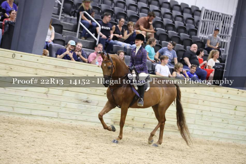 Proof 22R13_14152