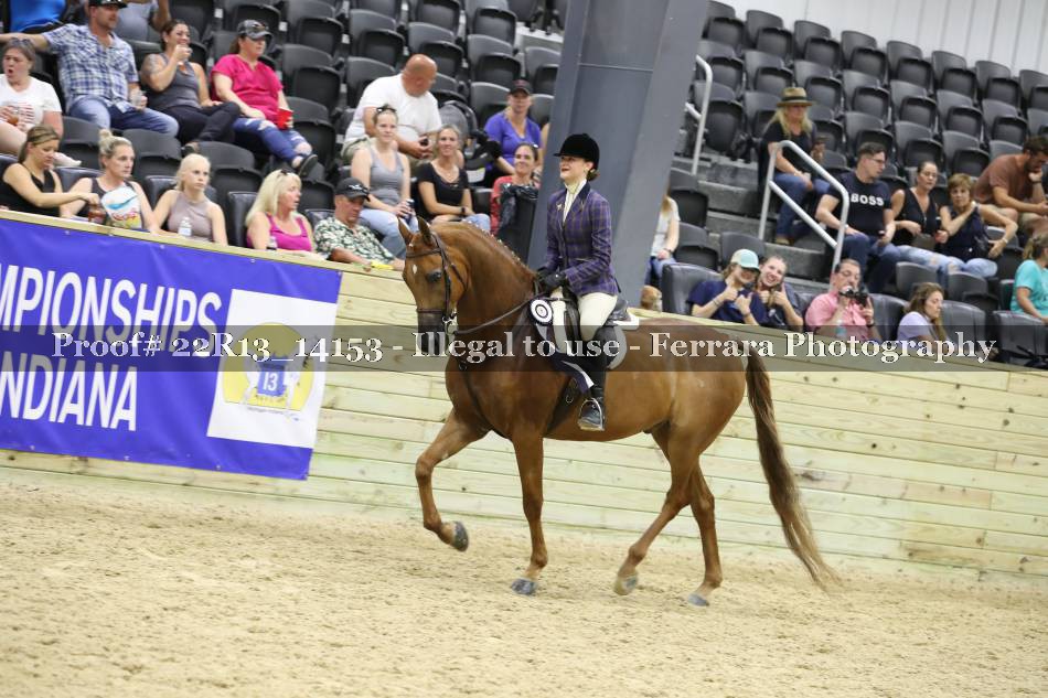 Proof 22R13_14153