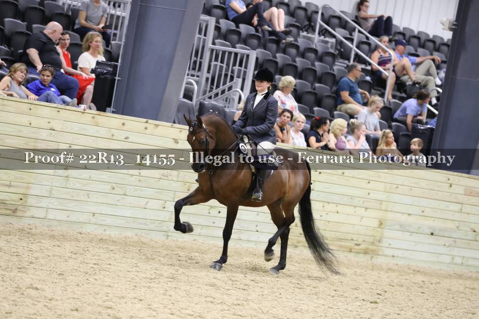 Proof 22R13_14155