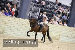 22R13_14155 proof