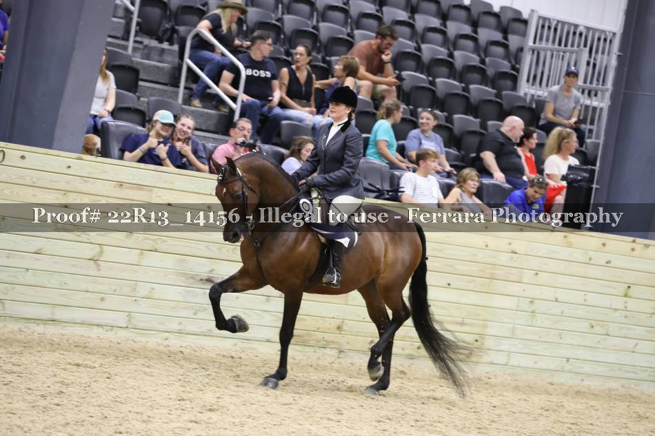 Proof 22R13_14156