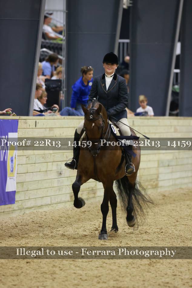 Proof 22R13_14159