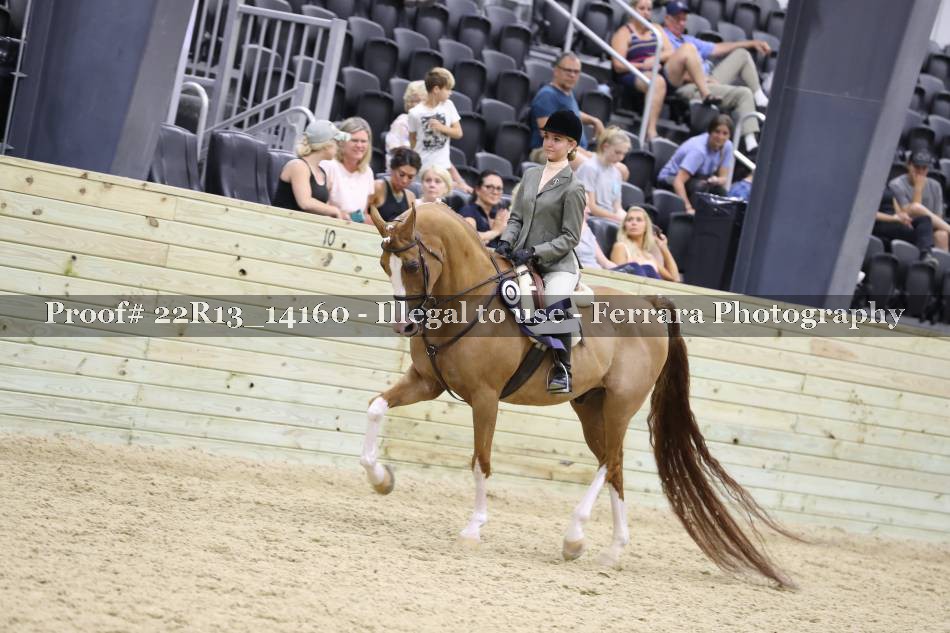 Proof 22R13_14160