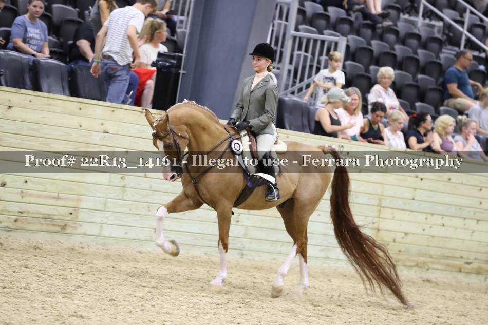 Proof 22R13_14161