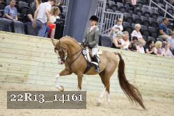 22R13_14161 proof
