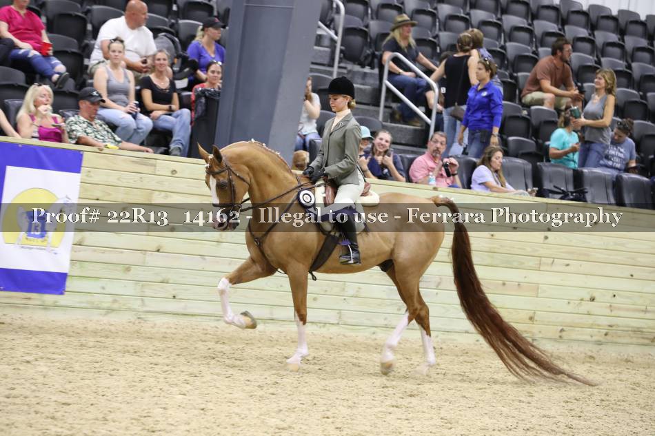 Proof 22R13_14162
